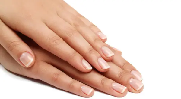 Dłonie z idealnym french manicure. Dowiedz się, jak zrobić french w domu, by mieć tak piękne paznokcie.